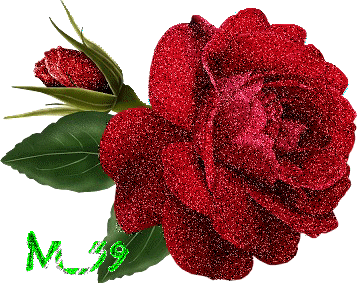 une rose rouge pour tout les bloggeurs